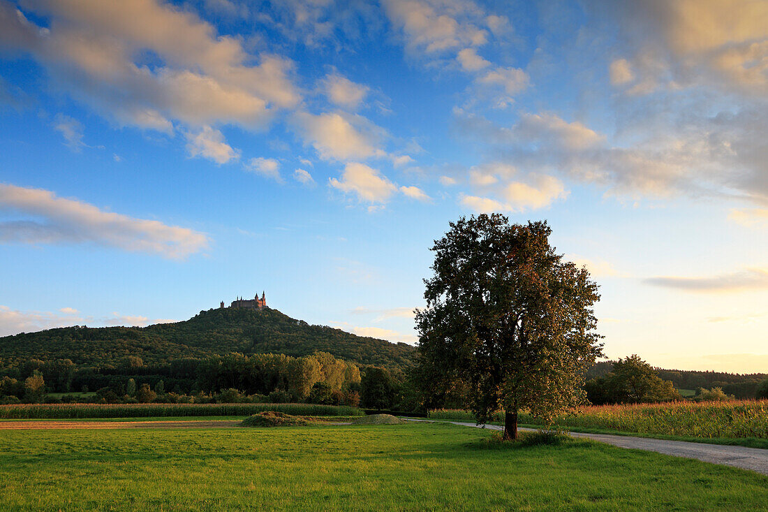 Burg Hohenzollern, bei Hechingen, Schwäbische Alb, Baden-Württemberg, Deutschland