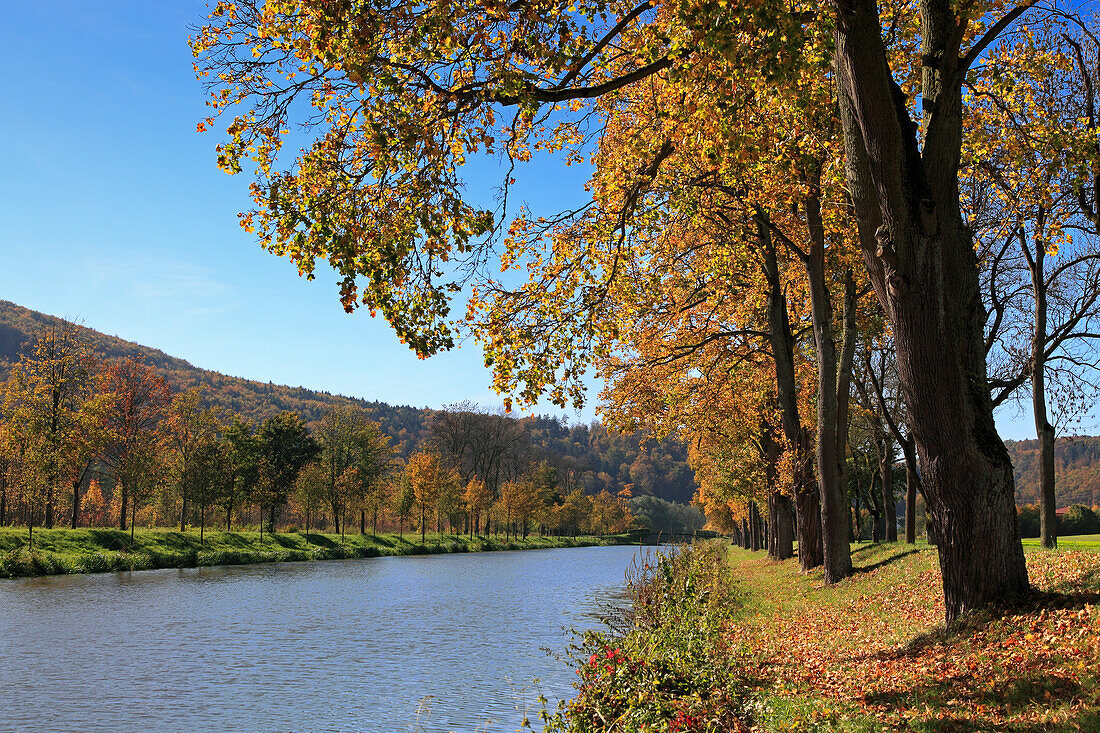 Altmühl river, Essing, nature park Altmühltal, Franconian Alb, Franconia, Bavaria, Germany