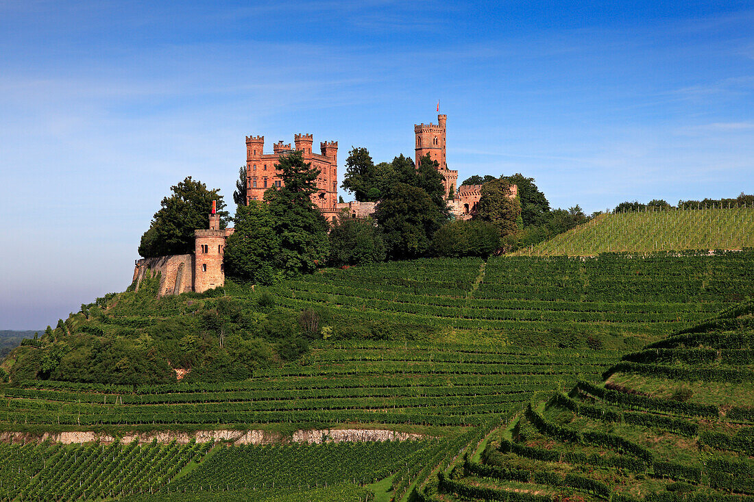 Ortenberg castle, near Offenburg, Ortenau region, Black Forest, Baden-Württemberg, Germany