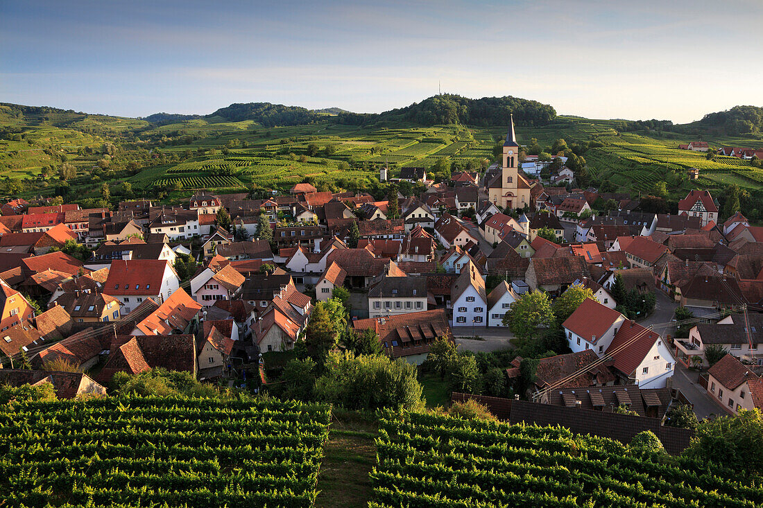 Blick über Weinberg auf Oberrotweil, Vogtsburg im Kaiserstuhl, Baden-Württemberg, Deutschland