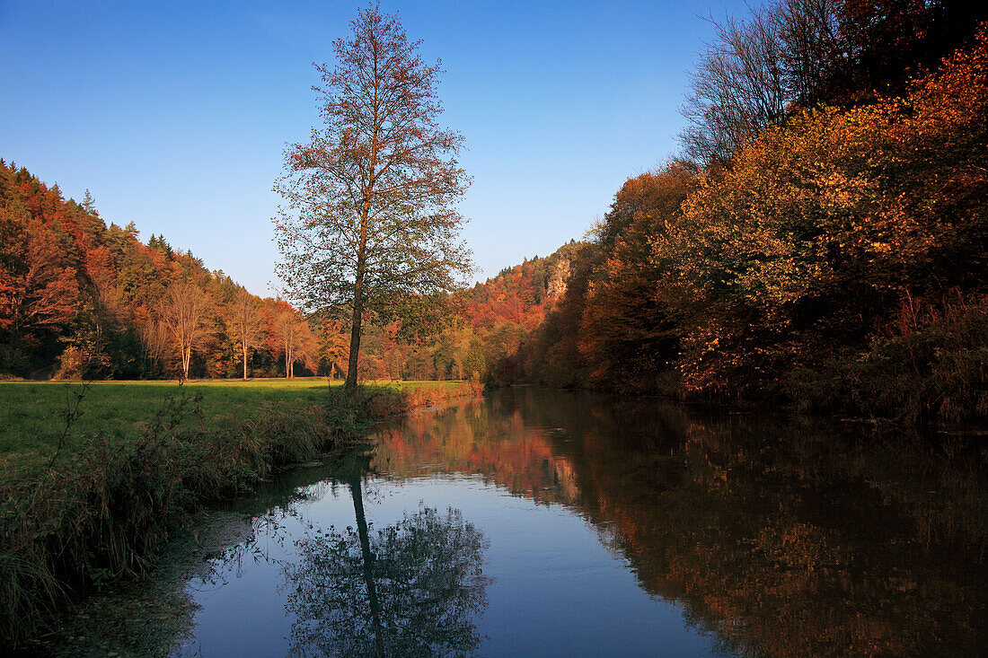 Im Wiesenttal, Fränkische Schweiz, Franken, Bayern, Deutschland