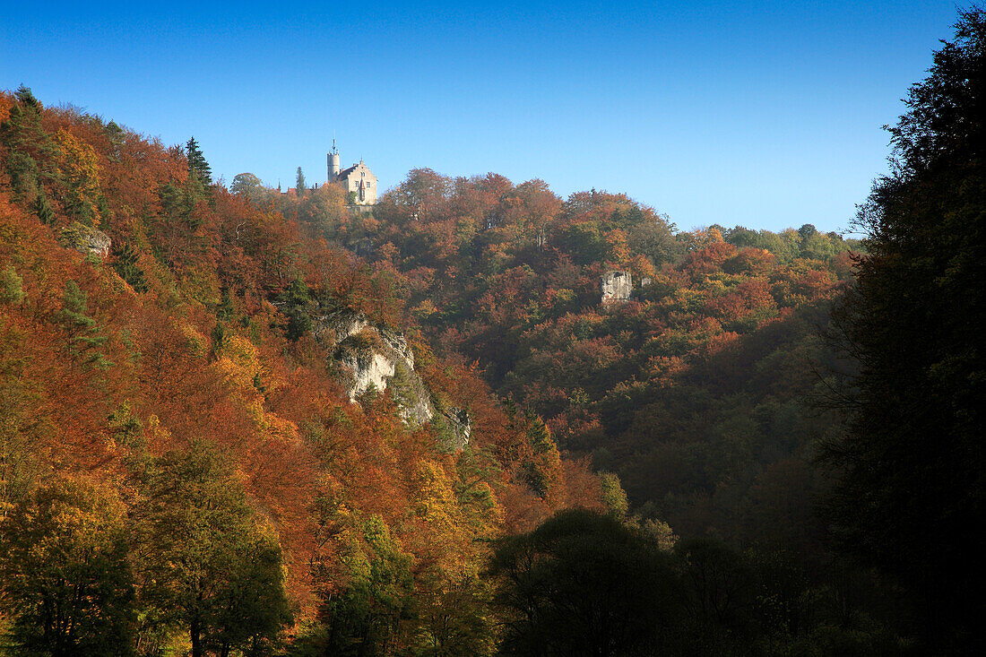 Blick aus dem Wiesenttal zur Burg Gößweinstein, Fränkische Schweiz, Franken, Bayern, Deutschland