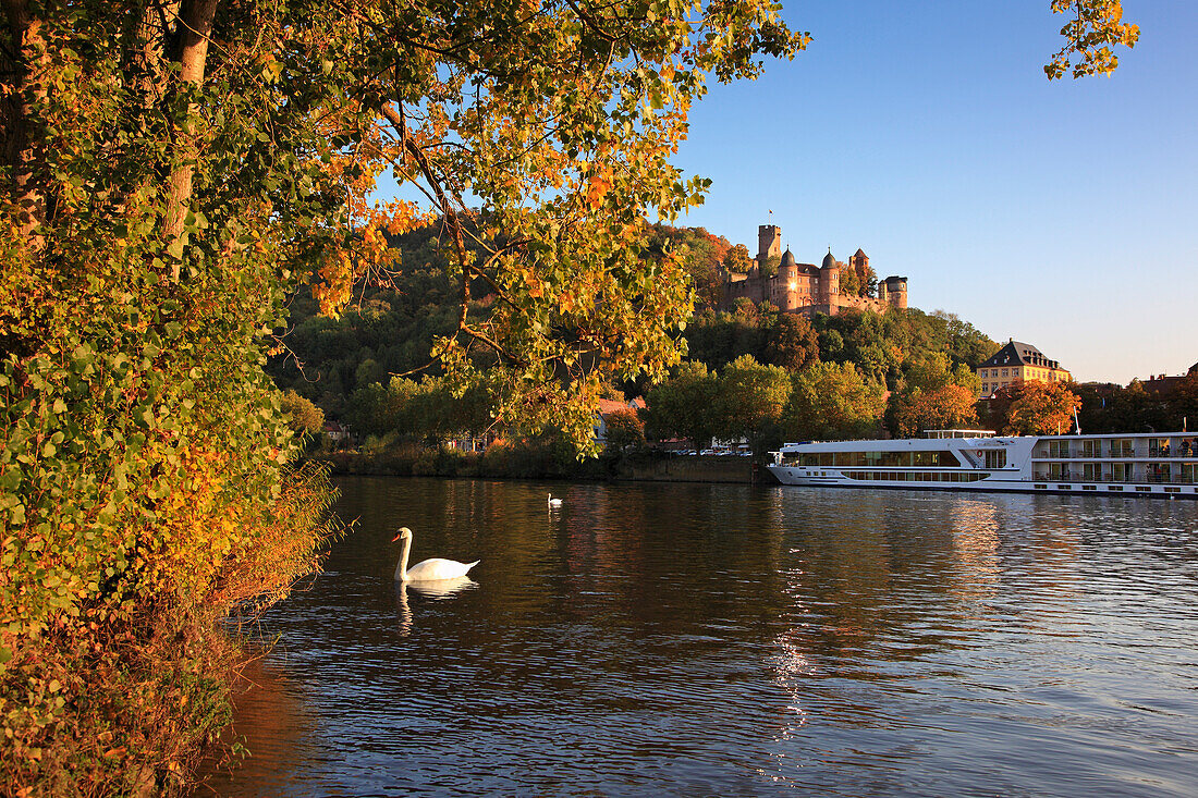 View over Main river to Wertheim castle, Wertheim, Baden-Wuerttemberg, Germany