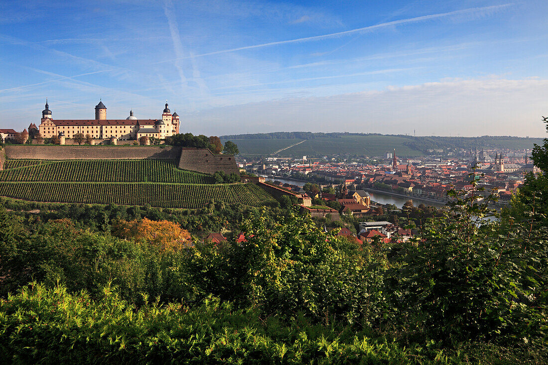 Cityscape and Fortress Marienberg, Wuerzburg, Franconia, Bavaria, Germany