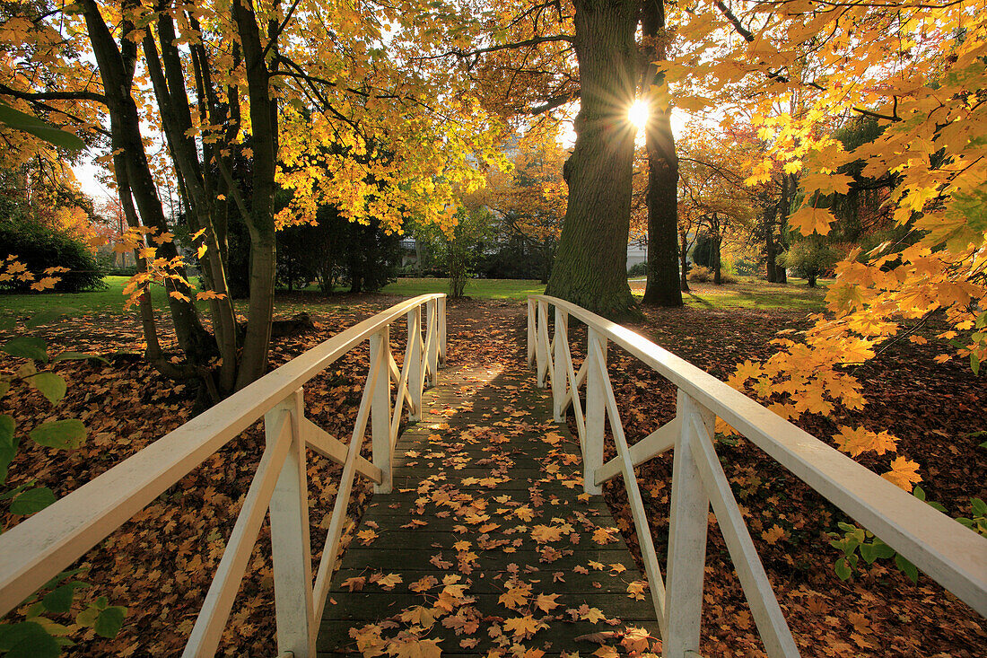 Brücke, Schlosspark im Herbst, Schlemmin, Mecklenburg-Vorpommern, Deutschland