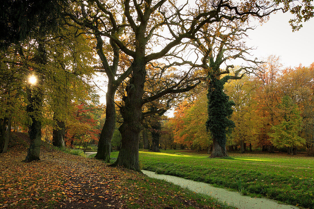 Schlosspark im Herbst, Schlemmin, Mecklenburg-Vorpommern, Deutschland