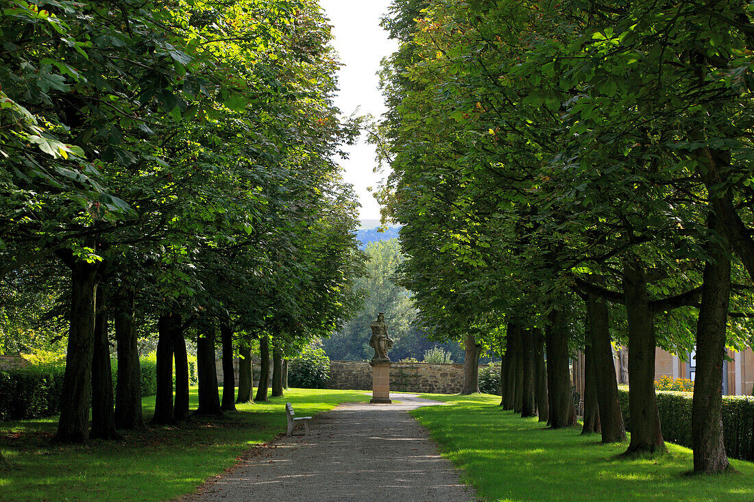 Chestnut alley at the palace gardens, Weikersheim, Tauber valley, Romantic Road, Baden-Wurttemberg, Germany