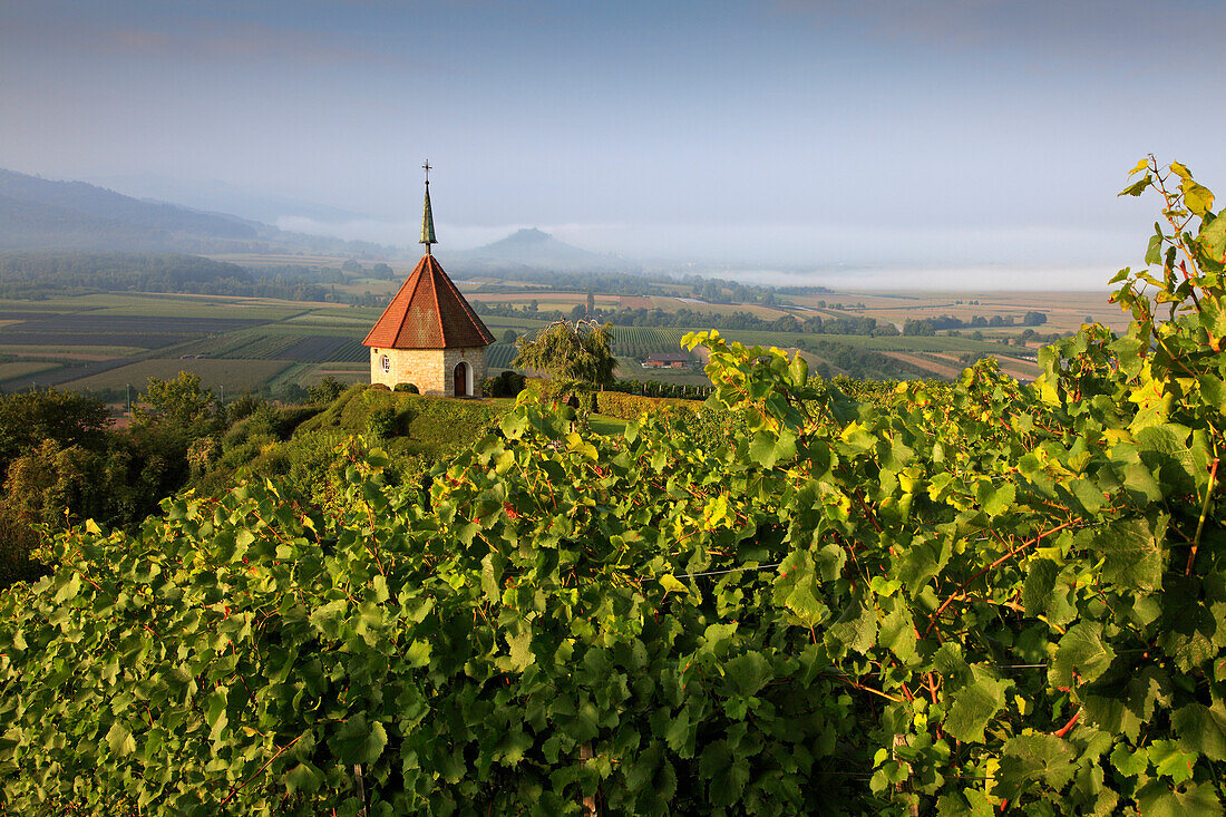 Oelberg chapel, Ehrenstetten, Ehrenkirchen, Black Forest, Baden-Württemberg, Germany