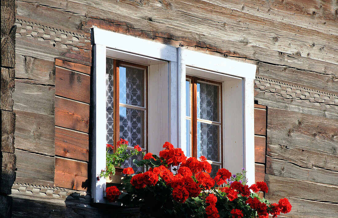 Window with geraniums, Ernen, Goms, Valais, Switzerland