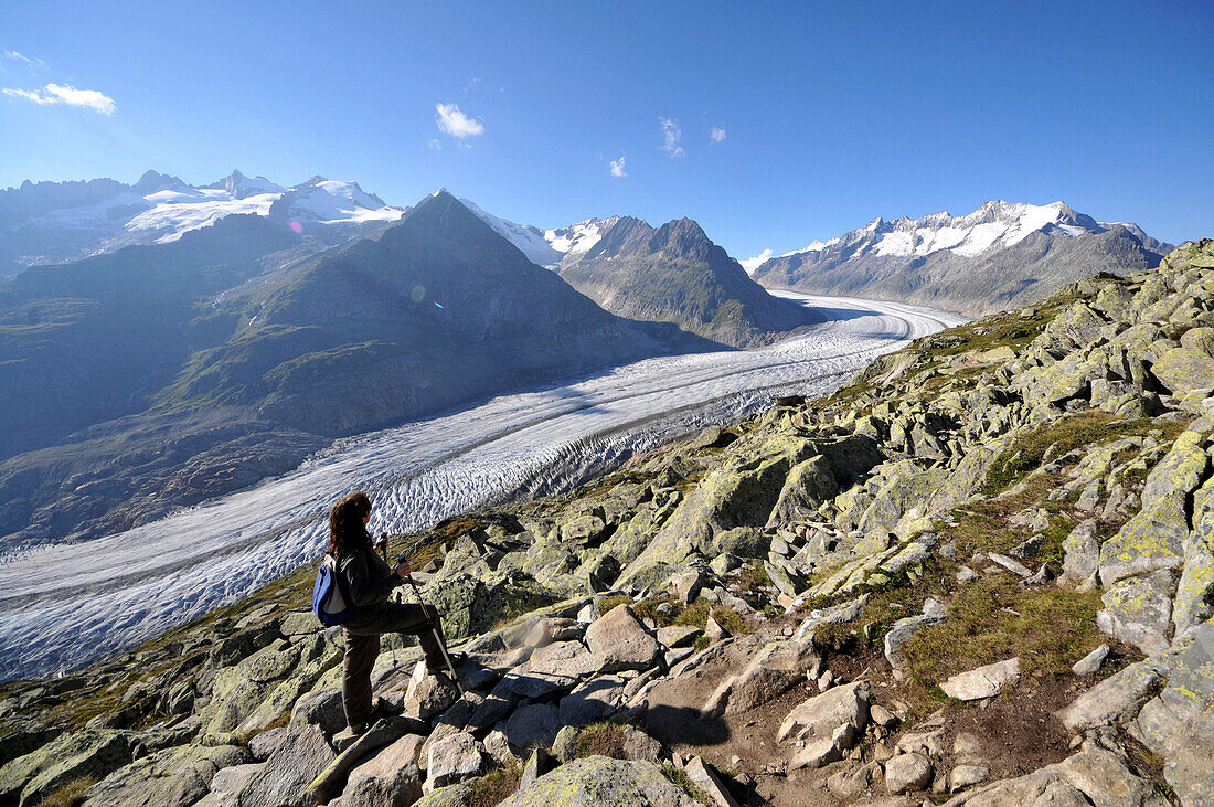View from Bettmerhorn to Aletsch Glacier, Canton of Valais, Switzerland