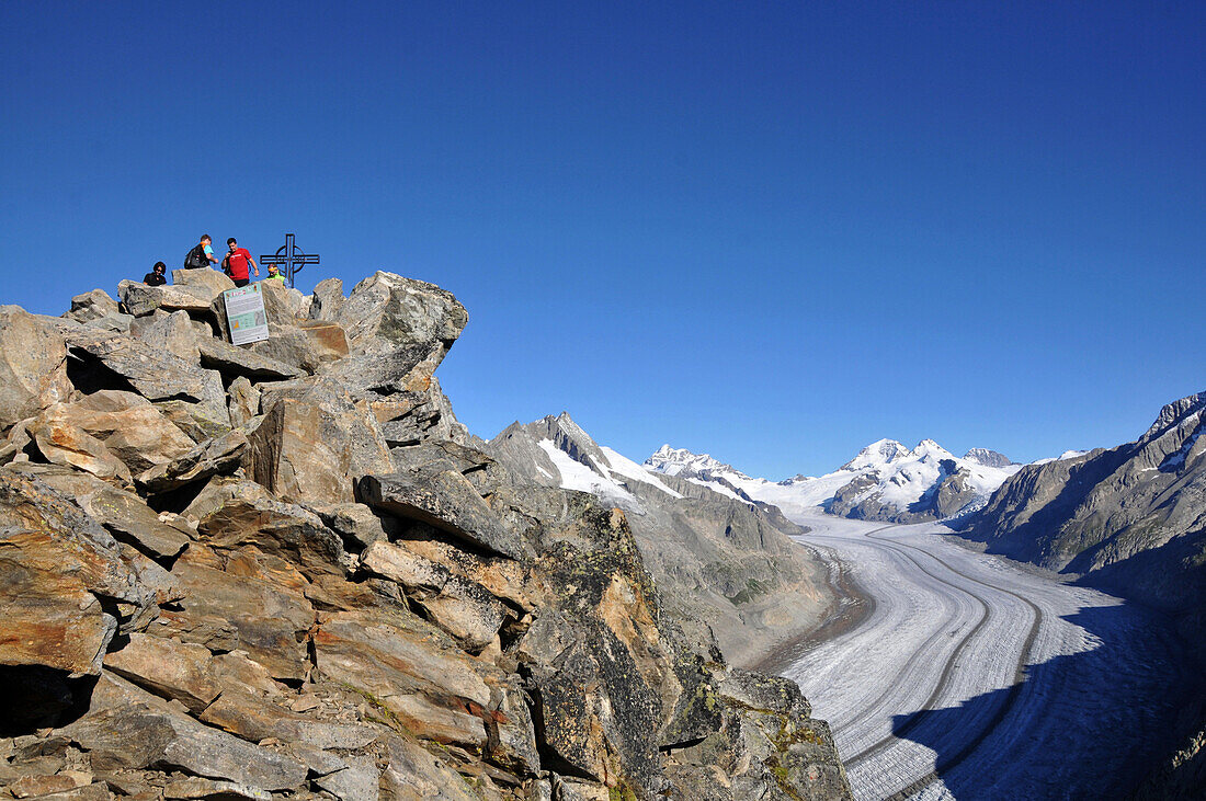 View to mount Eggishorn, Aletsch Glacier in background, Canton of Valais, Switzerland