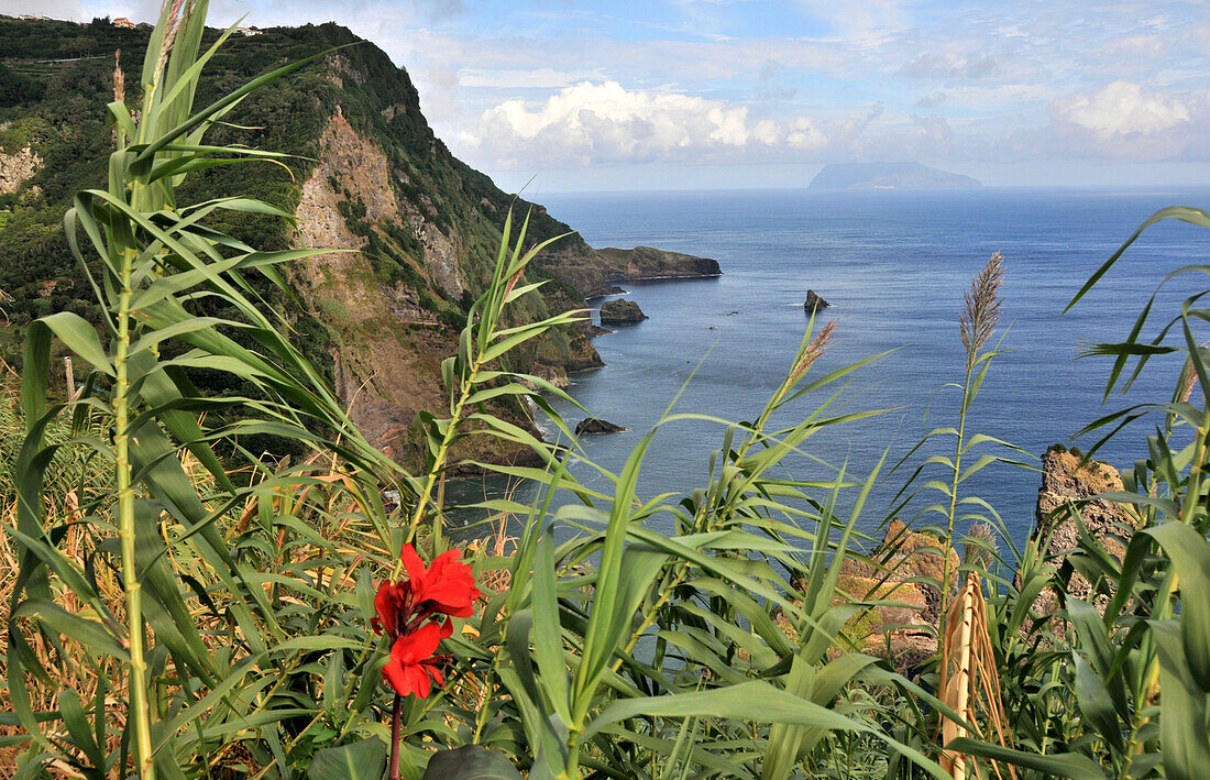 Vegetation and north coast, Island of Flores, Azores, Portugal, Europe