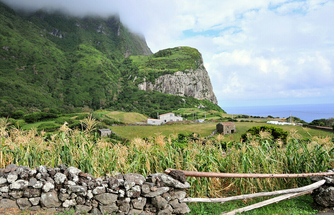 Landscape at southwest coast, Island of Flores, Azores, Portugal, Europe