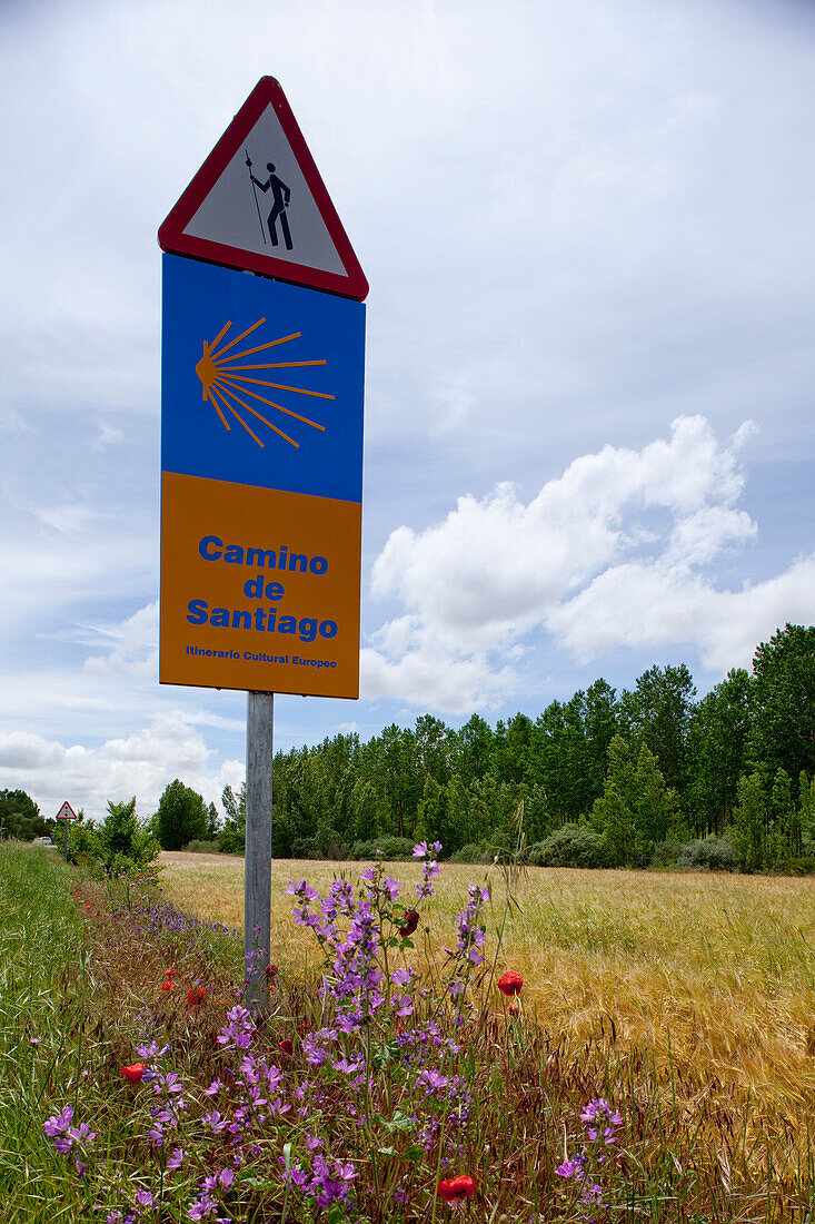 Sign post at a field, Province of Burgos, Old Castile, Castile-Leon, Castilla y Leon, Northern Spain, Spain, Europe