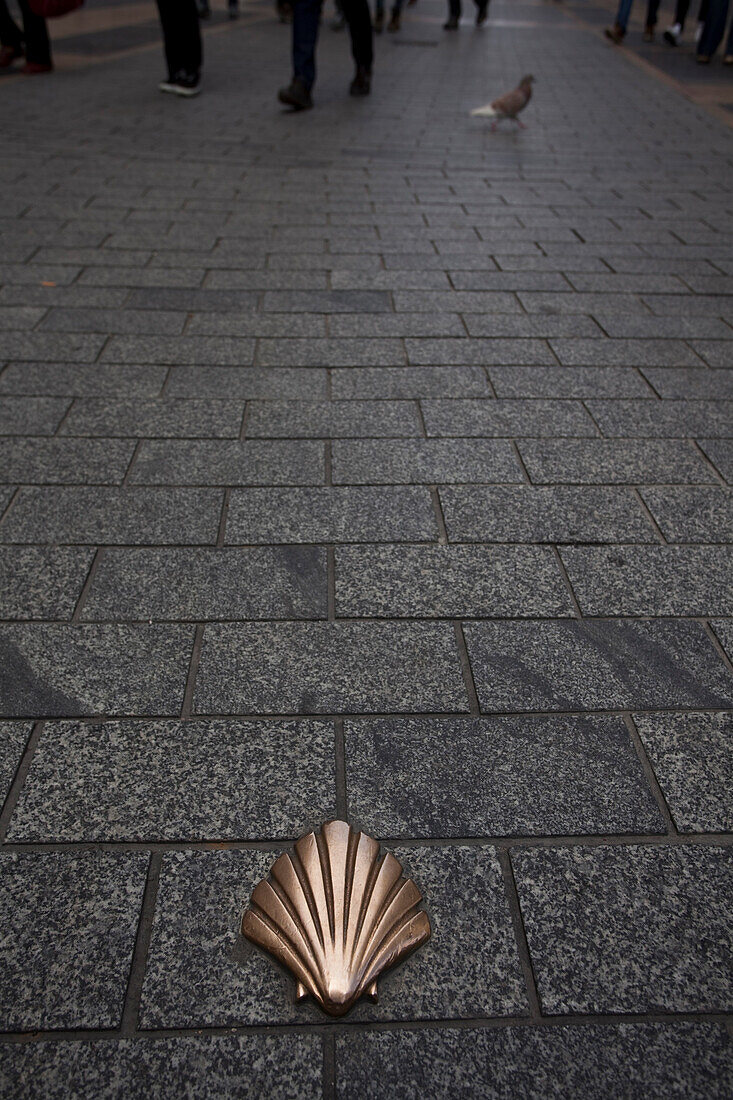 Scallop on the ground at the pedestrian area, Leon, Province of Leon, Old Castile, Castile-Leon, Castilla y Leon, Northern Spain, Spain, Europe