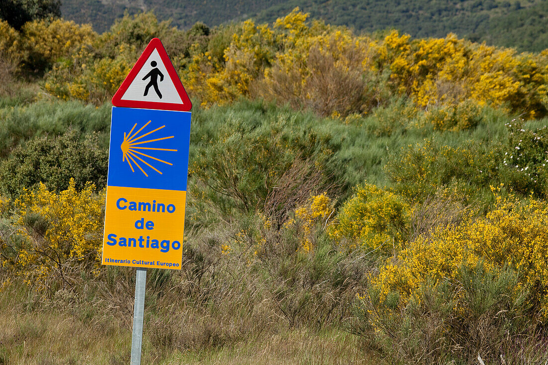 Wegweiser in abgelegener Landschaft, Provinz Leon, Altkastilien, Castilla y Leon, Nordspanien, Spanien, Europa