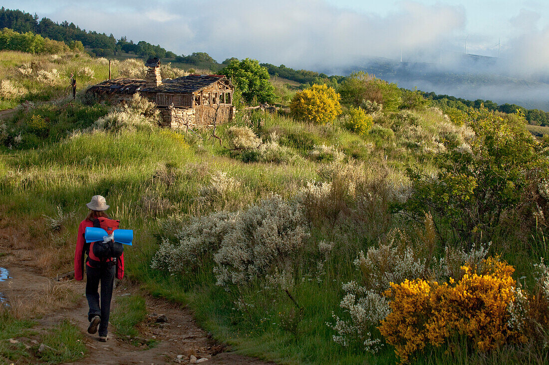 Pilger in idyllischer Landschaft, Provinz Leon, Altkastilien, Castilla y Leon, Nordspanien, Spanien, Europa
