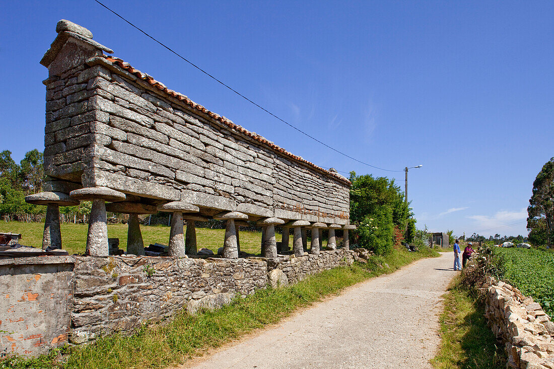 Horreo, Getreidespeicher an einer schmalen Strasse, Padreeiro de Abaixo, Provinz La Coruna, Galicien, Nordspanien, Spanien, Europa
