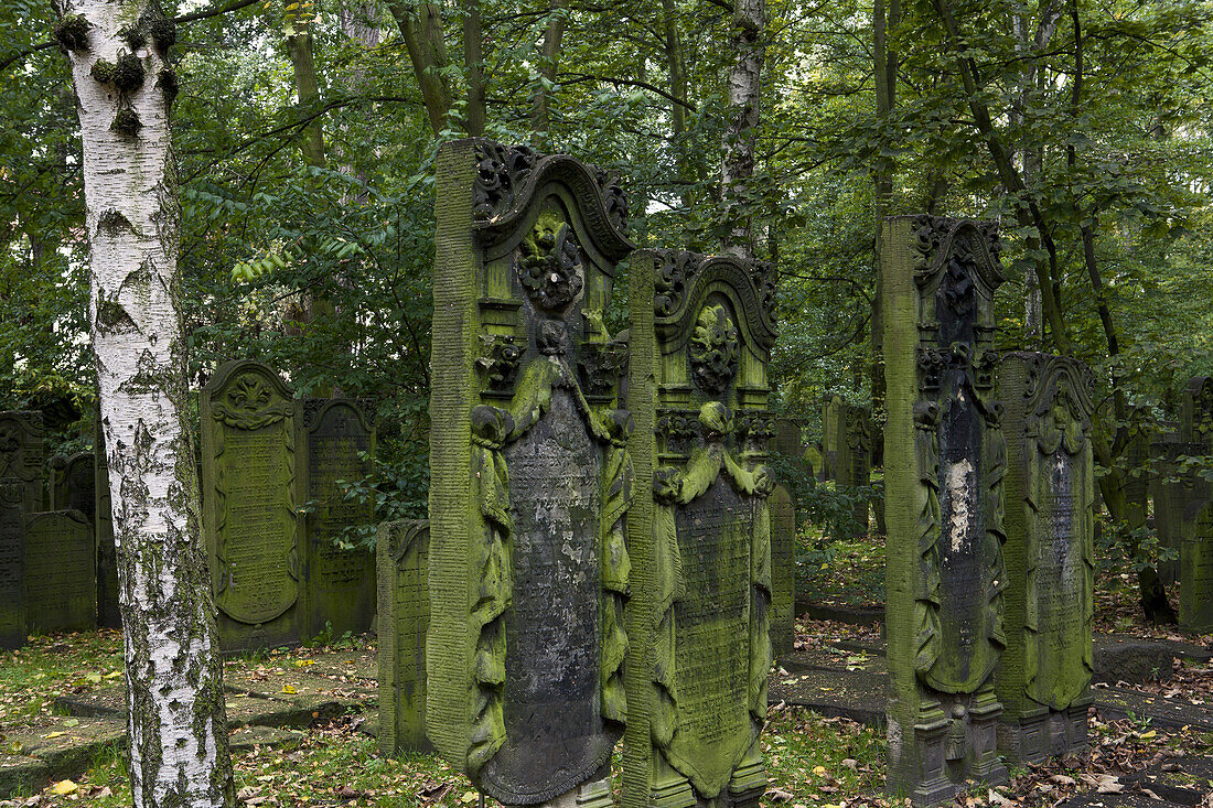 Grabsteine auf jüdischem Friedhof im Bezirk Altona, Hansestadt Hamburg, Deutschland, Europa