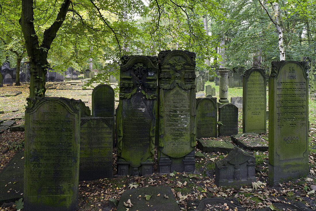 Grabsteine auf jüdischem Friedhof im Bezirk Altona, Hansestadt Hamburg, Deutschland, Europa