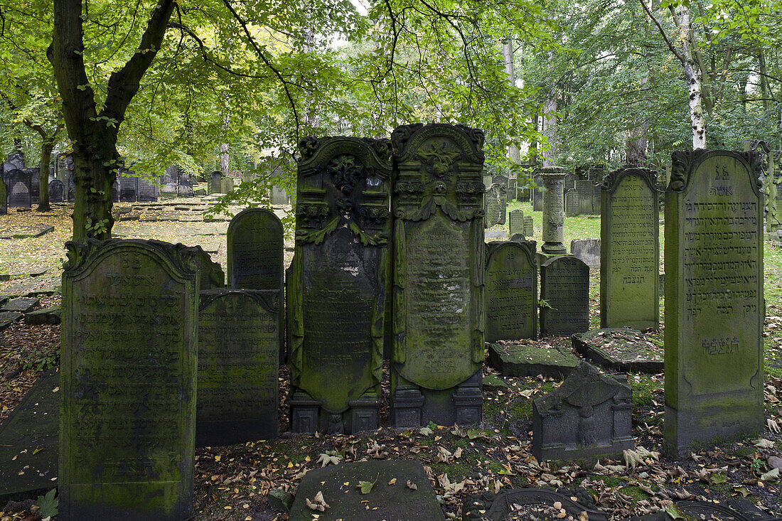 Gravestones at jewish cemetery at the district Altona, Hanseatic city of Hamburg, Germany, Europe