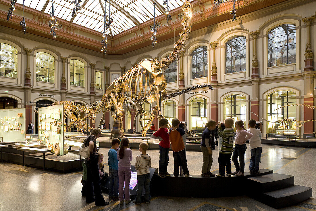 Dinosauriersaal im Lichthof des Museum für Naturkunde der Humboldt-Universität zu Berlin, Naturkundemuseum in der Invalidenstrasse, Berlin-Mitte, Berlin, Deutschland, Europa