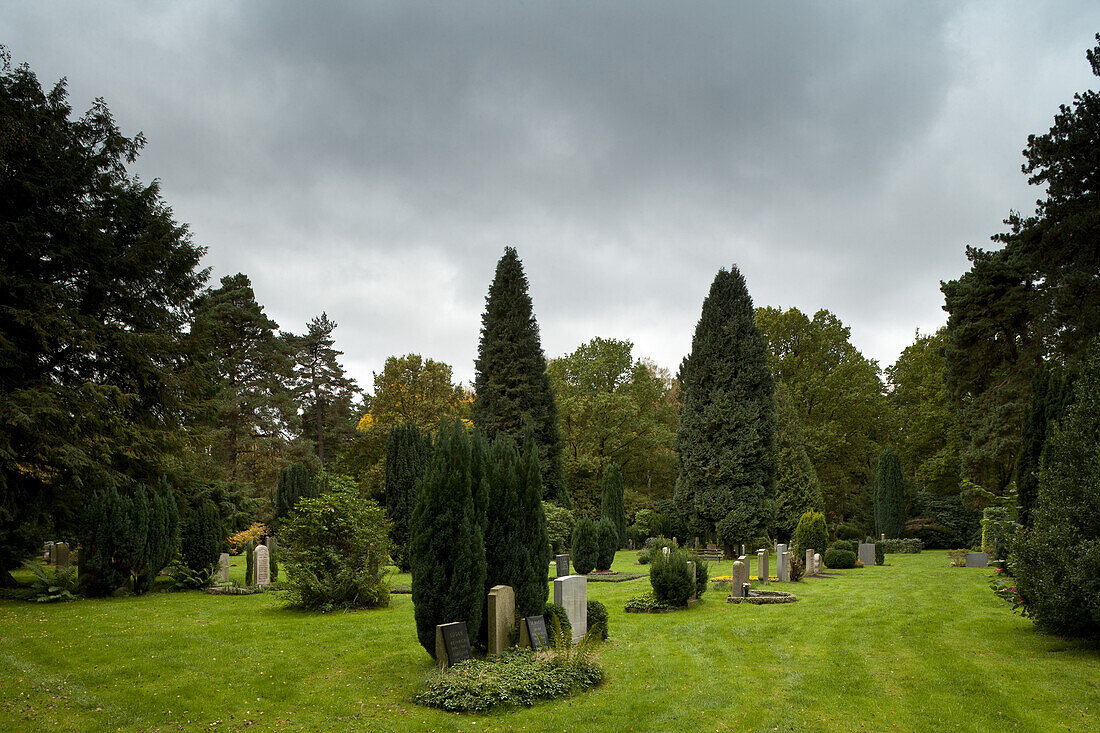 Bäume und Grabsteine auf dem Friedhof Ohlsdorf, der größte Parkfriedhof der Welt, Hamburg-Ohlsdorf, Hansestadt Hamburg, Deutschland, Europa