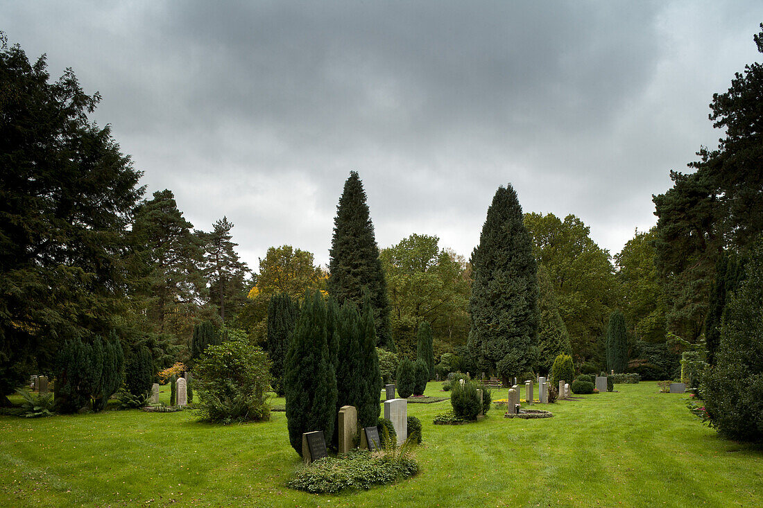 Trees and gravestones at Ohlsdorf cemetery, Hanseatic city of Hamburg, Germany, Europe