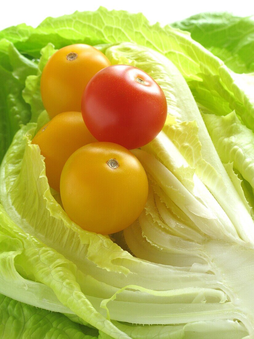 Lettuce and Cherry tomatoes