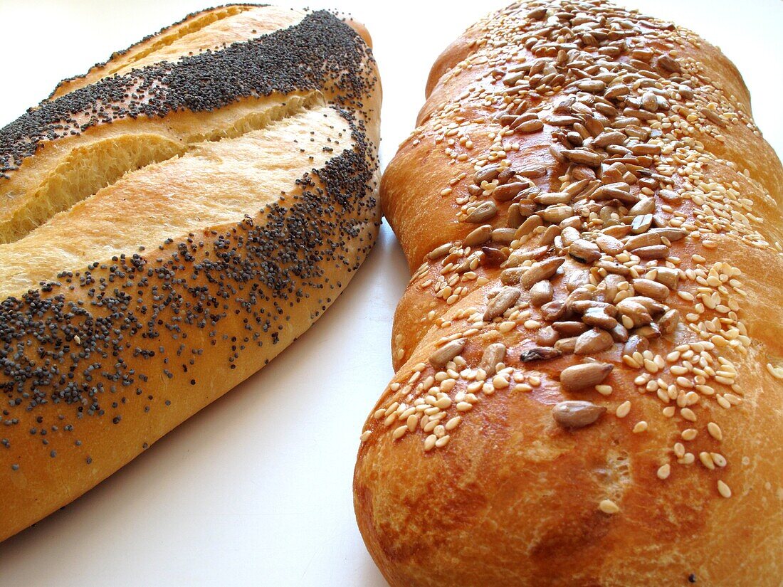 Breads with sesame seeds, sunflower and poppy