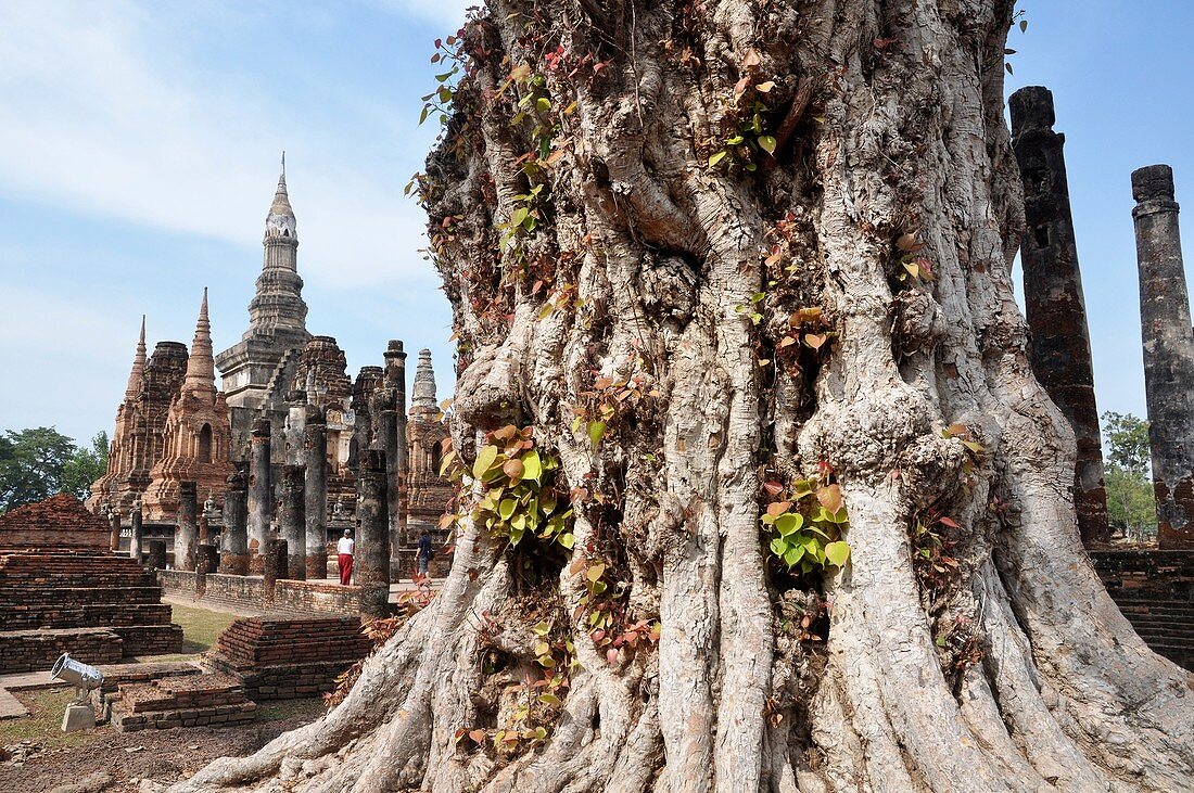 Sukhothai (Thailand): the Wat Mahathat
