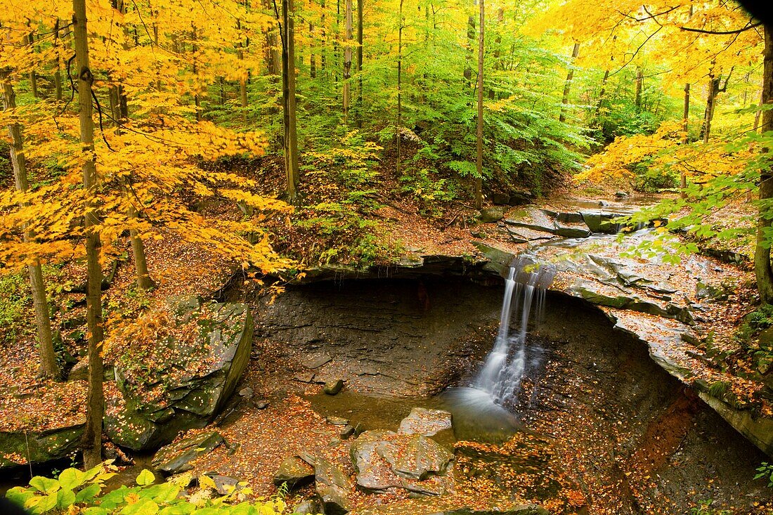 Autumn, Cave, Fall color, Flow, Leaf, Leaves, Midwest us, River, Stream, Tree, United states of america, Water, Waterfall* ohio, S19-1065163, agefotostock