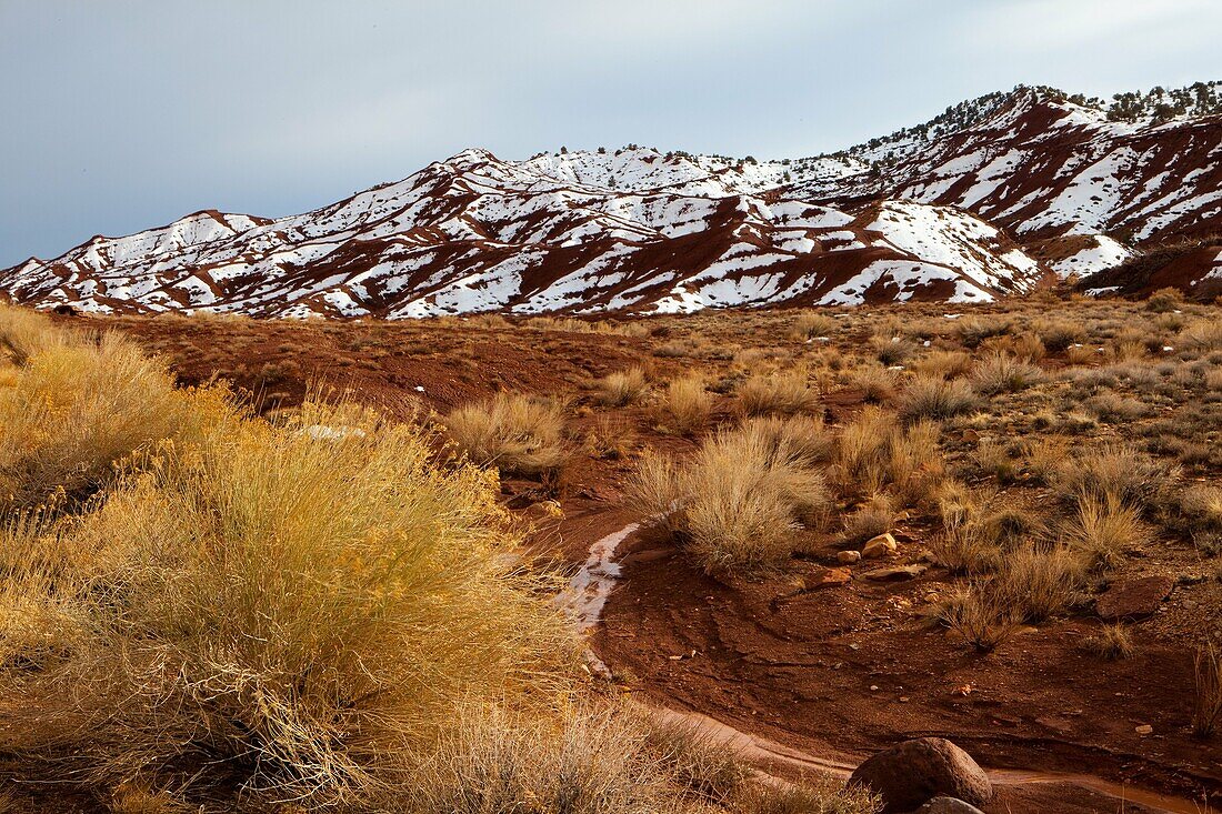 Amerika, Berge, Engpass, Gorges, Landschaft, Landschaften, Landschaftlich schön, Natur, Red Rock, Schnee, Südwesten, USA, Utah, Vereinigte Staaten, Wetter, Winter, S19-1107222, agefotostock