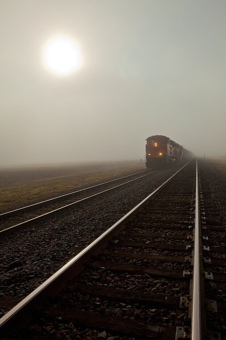 Fog, Landscape, Mist, Nature, Railroad, Track, Train, United states of america, Weather, Winter, S19-1107235, agefotostock