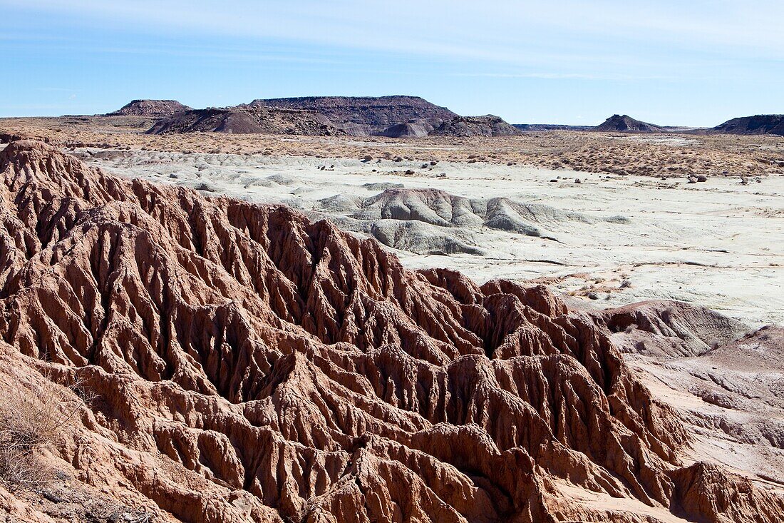 Amerika, Arizona, Badlands, Fels, Felsen, Holz, Petrified Forest National Park, Südwesten, Trocken, USA, Vereinigte Staaten, Wald, Wetter, Winter, Wüste, Wüsten, S19-1107248, agefotostock