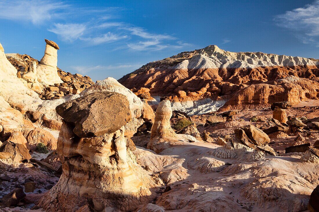 Arizona, Delicate, Desert, Hoodoo, Landscape, Nature, Page, Rim rocks, Rock, Sandstone, Scenic, Sky, Southwest, United states of america, S19-1107330, agefotostock