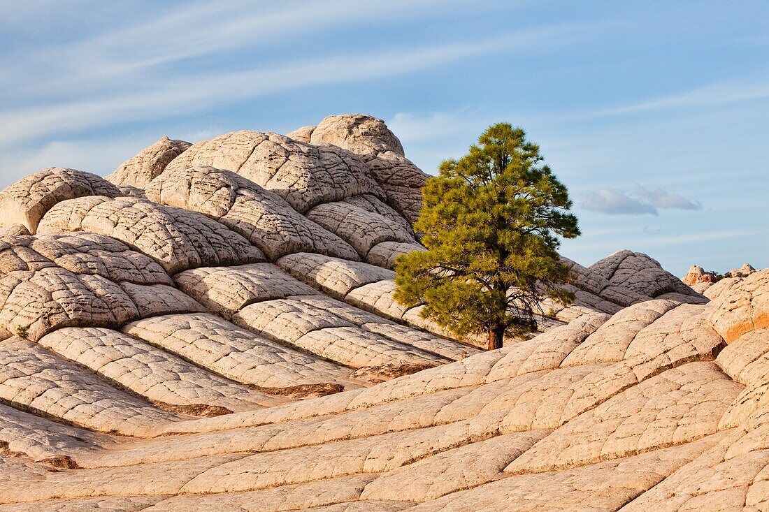 Arizona, Delicate, Desert, Landscape, Nature, Page, Rock, Sandstone, Scenic, Southwest, Swirls, United states of america, White pockets, S19-1107406, agefotostock