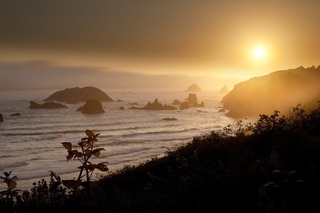 coast, fog, golden, Landscape, ocean, Oregon, scenic, sunset, USA, S19-1190516, AGEFOTOSTOCK