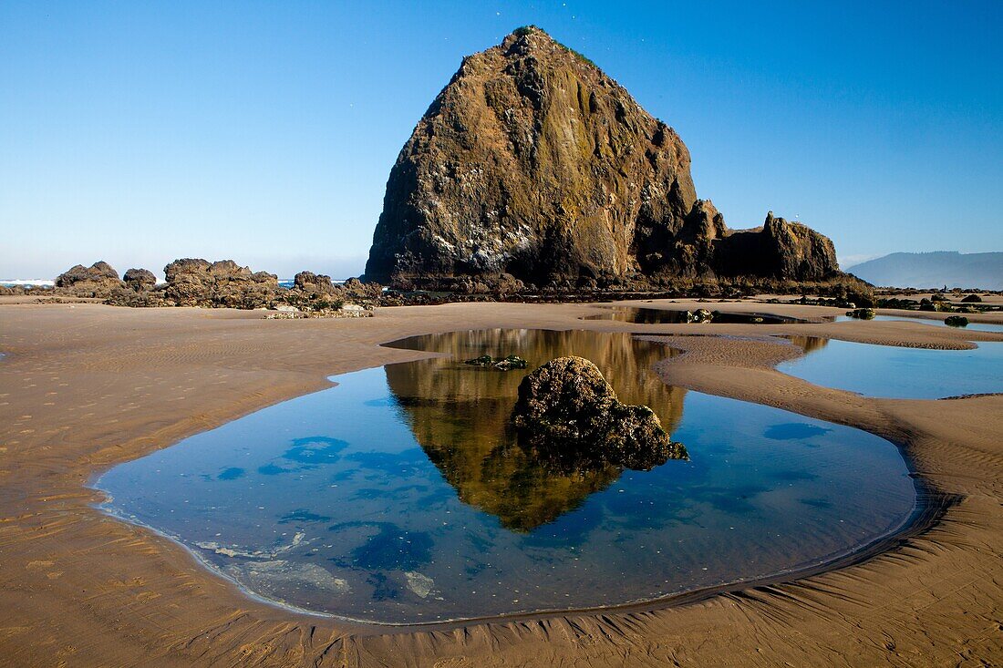beach, canon, coast, Landscape, Low tide, Oregon, reflection, rock, sand, scenic, tidepool, USA, S19-1190540, AGEFOTOSTOCK