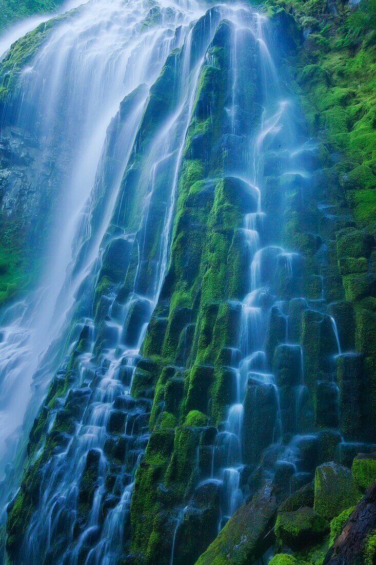 Cascade mountain, dreamy, Landscape, mountain, Oregon, Proxy Falls, scenic, stream, USA, water, waterfall, S19-1190544, AGEFOTOSTOCK