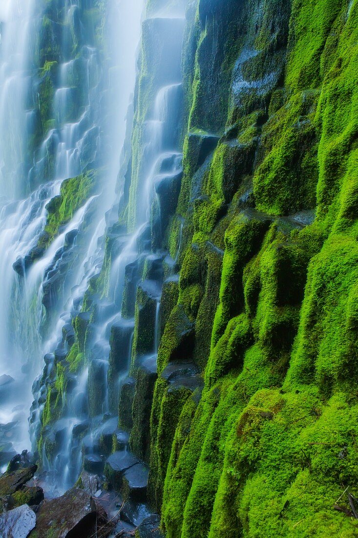Cascade mountain, dreamy, Landscape, mountain, Oregon, Proxy Falls, scenic, stream, USA, water, waterfall, S19-1190542, AGEFOTOSTOCK