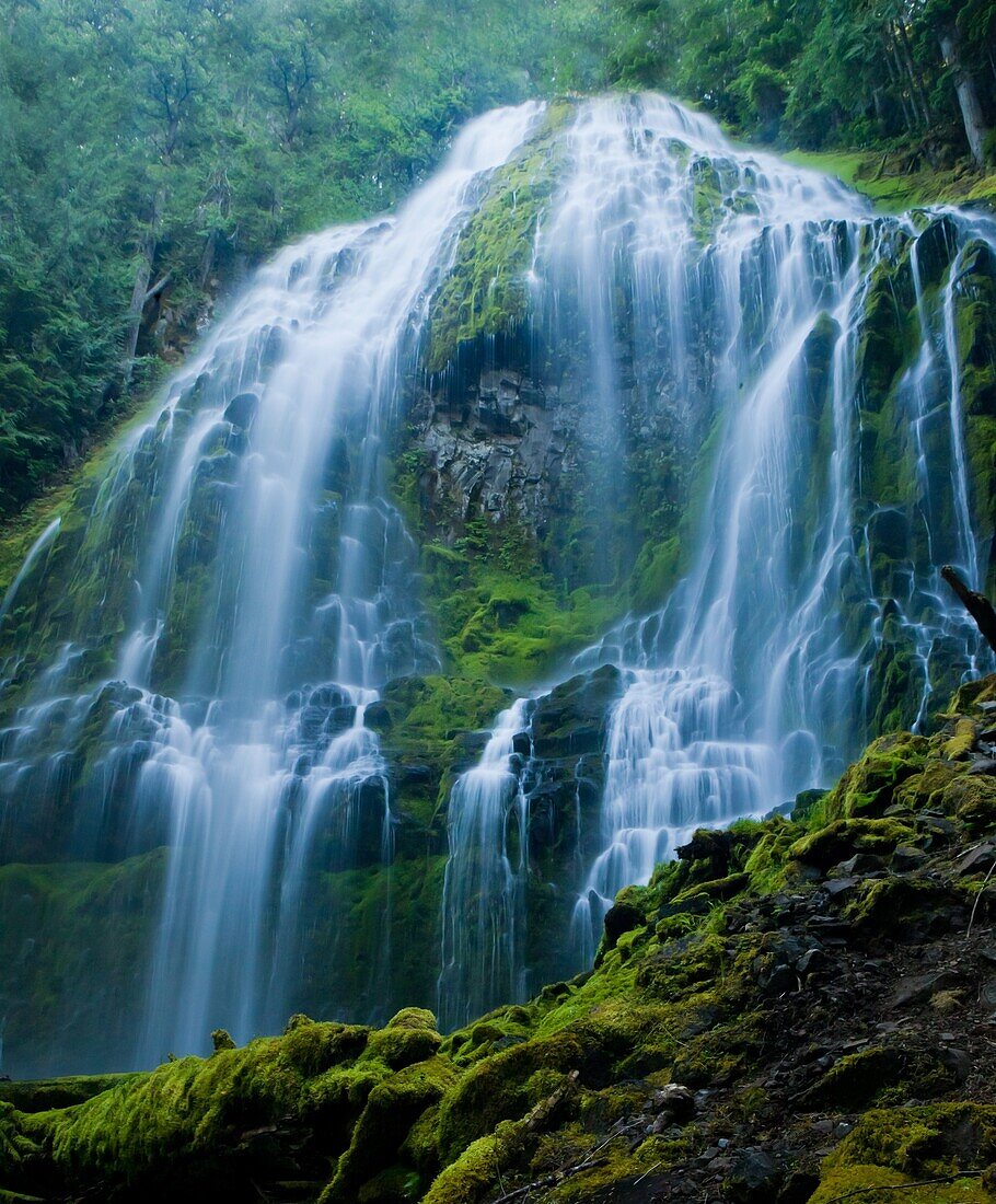 Cascade mountain, dreamy, Landscape, mountain, Oregon, Proxy Falls, scenic, stream, USA, water, waterfall, S19-1190546, AGEFOTOSTOCK