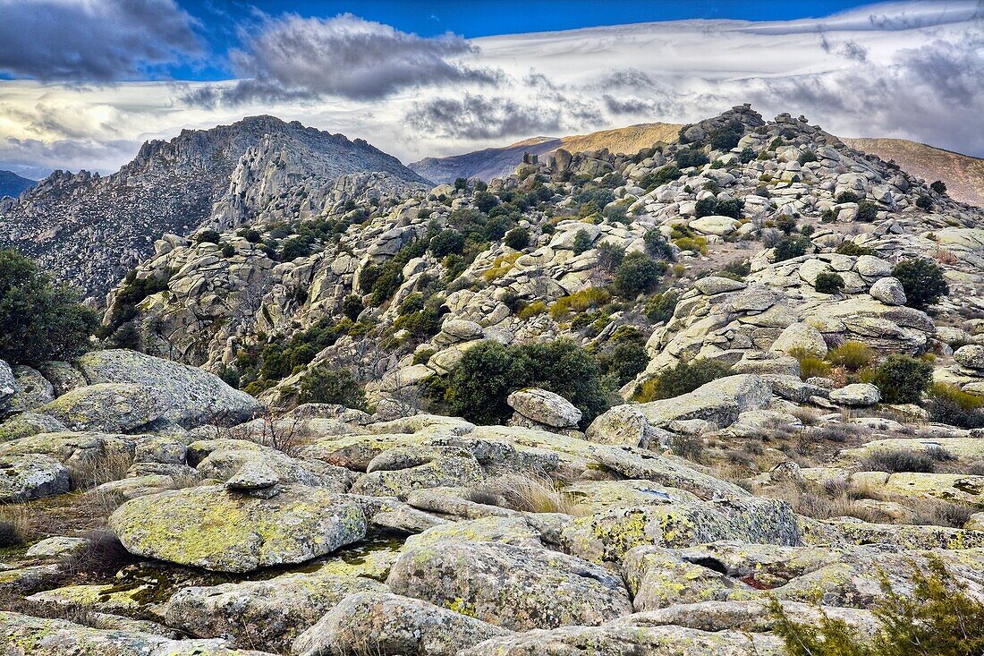 Sierra de la Cabrera Comunidad de Madrid España