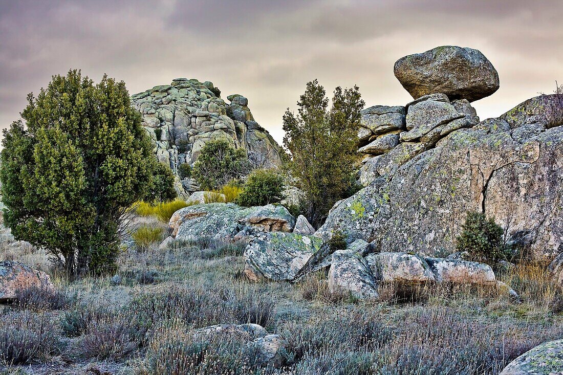 Pico de la Miel en la Sierra de la Cabrera Comunidad de Madrid España