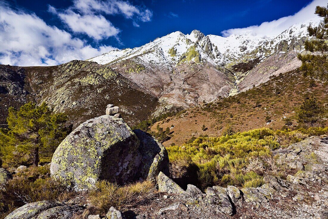 Vertiente del Pinarejo Sierra de Gredos Castilla León España