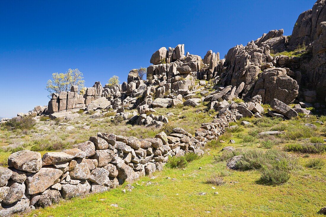 Stone fence in The Great Glen The Pedriza Regional Park Cuenca Alta del Manzanares Madrid Spain