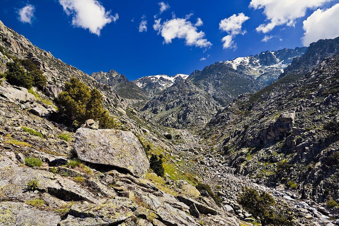 Throat Tejea and Asperón in the Sierra de Gredos Avila Spain Castilla León