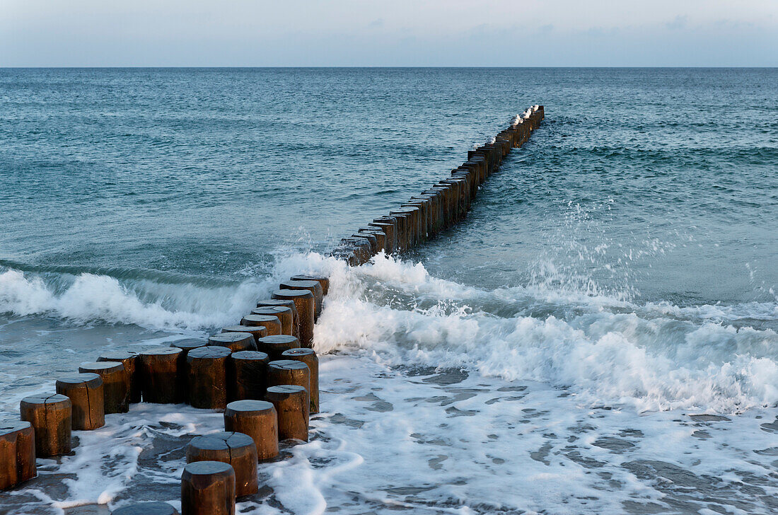 Buhne, Ahrenshoop, Ostsee, Fischland-Darss-Zingst, Mecklenburg-Vorpommern, Deutschland