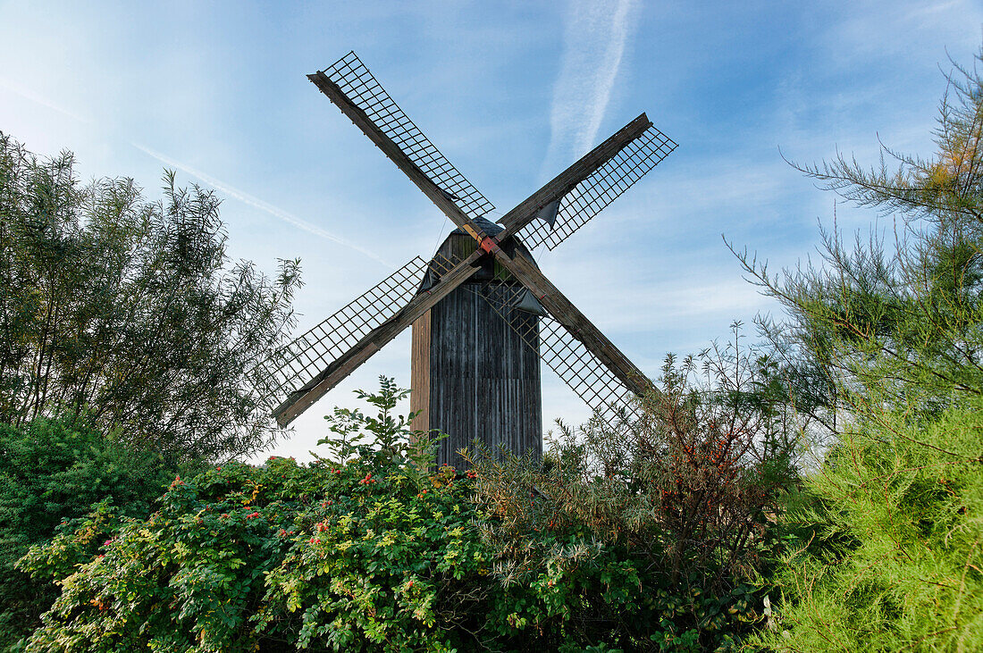 Bockwindmühle, Pudagla, Usedom, Mecklenburg-Vorpommern, Deutschland
