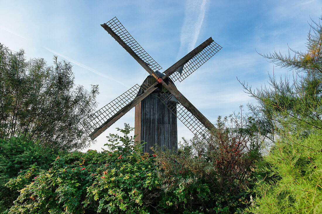 Post mill, Pudagla, Usedom, Mecklenburg-Vorpommern, Germany